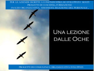 Gabriele Micozzi62
Una lezione
dalle Oche
PROGETTI DI CONSULENZA ORGANIZZATIVA SVILUPPATI
PER LE AZIENDE ISCRITTE A CONFINDUSTRIA HO SVILUPPATO MOLTI
PROGETTI DI COACHING, FORMAZIONE
ANALISI ORGANIZZATIVA, ASSESMENT, SELEZIONE DEL PERSONALE ,
 