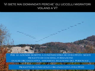 Gabriele Micozzi63
Vi siete mai domandati perche’ gli uccelli migratori
volano a V?
PROGETTI DI CONSULENZA ORGANIZZATIVA SVILUPPATI
PER LE AZIENDE ISCRITTE A CONFINDUSTRIA HO SVILUPPATO MOLTI
PROGETTI DI COACHING, FORMAZIONE
ANALISI ORGANIZZATIVA, ASSESMENT, SELEZIONE DEL PERSONALE ,
 