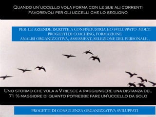Gabriele Micozzi64
Quando un’uccello vola forma con le sue ali correnti
favorevoli per gli uccelli che lo seguono
Uno stormo che vola a V riesce a raggiungere una distanza del
71 % maggiore di quanto potrebbe fare un’uccello da solo
PROGETTI DI CONSULENZA ORGANIZZATIVA SVILUPPATI
PER LE AZIENDE ISCRITTE A CONFINDUSTRIA HO SVILUPPATO MOLTI
PROGETTI DI COACHING, FORMAZIONE
ANALISI ORGANIZZATIVA, ASSESMENT, SELEZIONE DEL PERSONALE ,
 