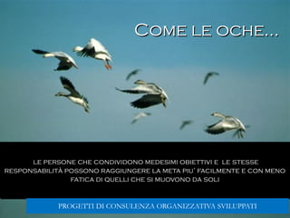 Gabriele Micozzi65
le persone che condividono medesimi obiettivi e le stesse
responsabilità possono raggiungere la meta piu’ facilmente e con meno
fatica di quelli che si muovono da soli
Come le oche…
PROGETTI DI CONSULENZA ORGANIZZATIVA SVILUPPATI
 