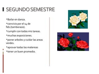 * me gradue y recivi barios reconocimientosTELESECUNDARIA : REFORMA1; hise uns pesera de gel con figuras bonitas*deshierve y ayude a limpiar la escuela*pinte la escuela y las butacasPartipe en los juegos deportivos (futbol y relevos)