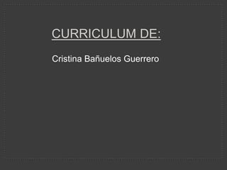Curriculum de: Cristina Bañuelos Guerrero 