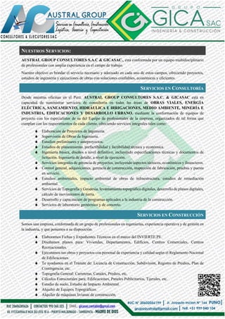 AUSTRAL GROUP CONSULTORES & GERENCIA E INGENIERIA DEL CASTILLO SAC | PDF