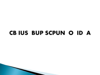 CB IUS BUP SCPUN O ID A
 
