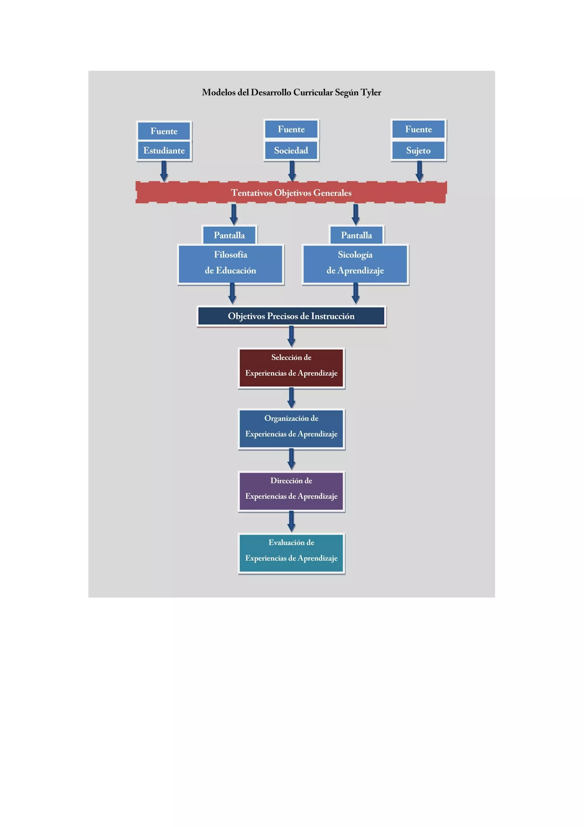 Curriculum development model:tyler model | DOC