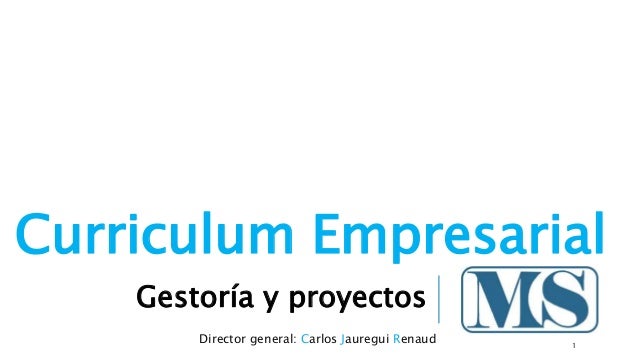 Curriculum Empresarial