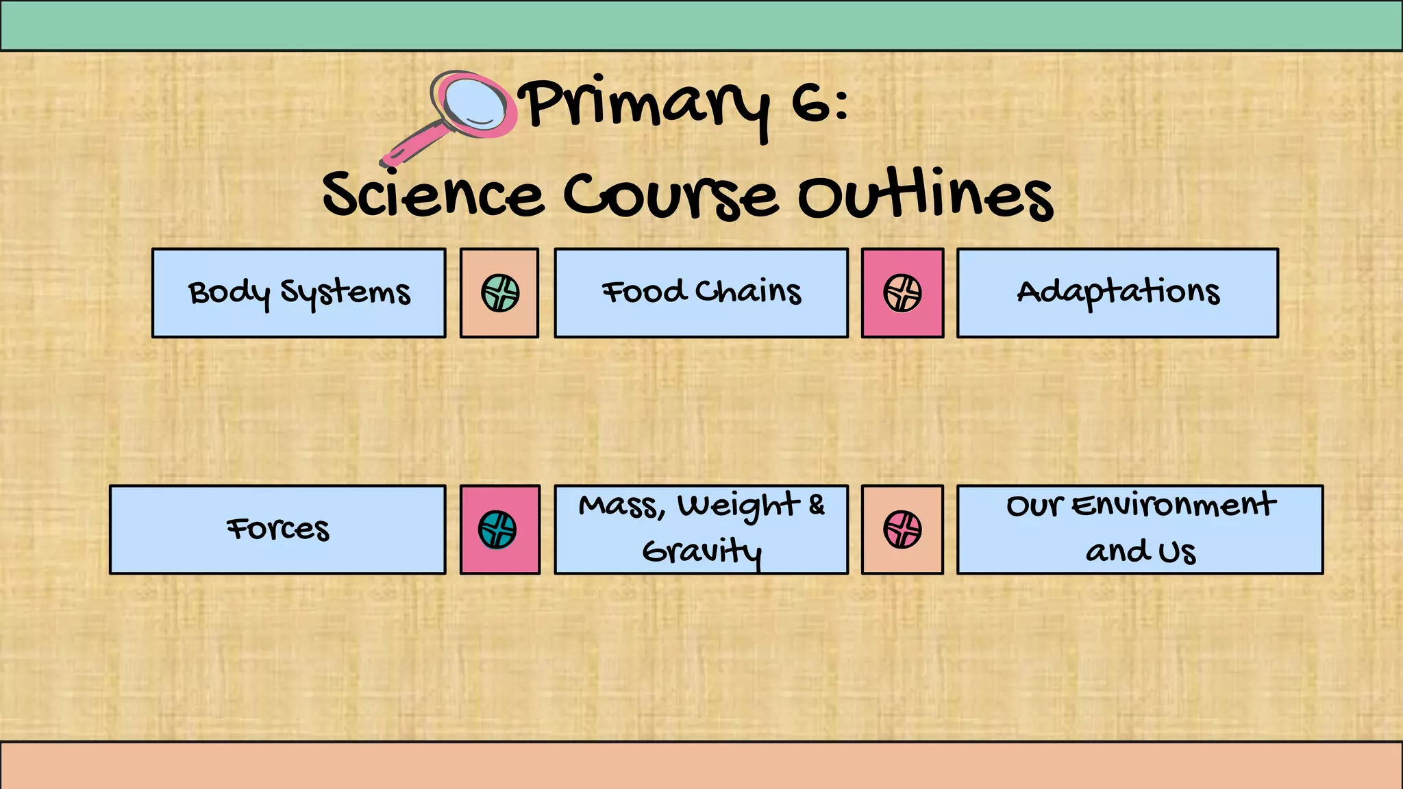 Primary 6:
Science Course Outlines
Body Systems Food Chains Adaptations
Forces
Mass, Weight &
Gravity
Our Environment
and Us
 
