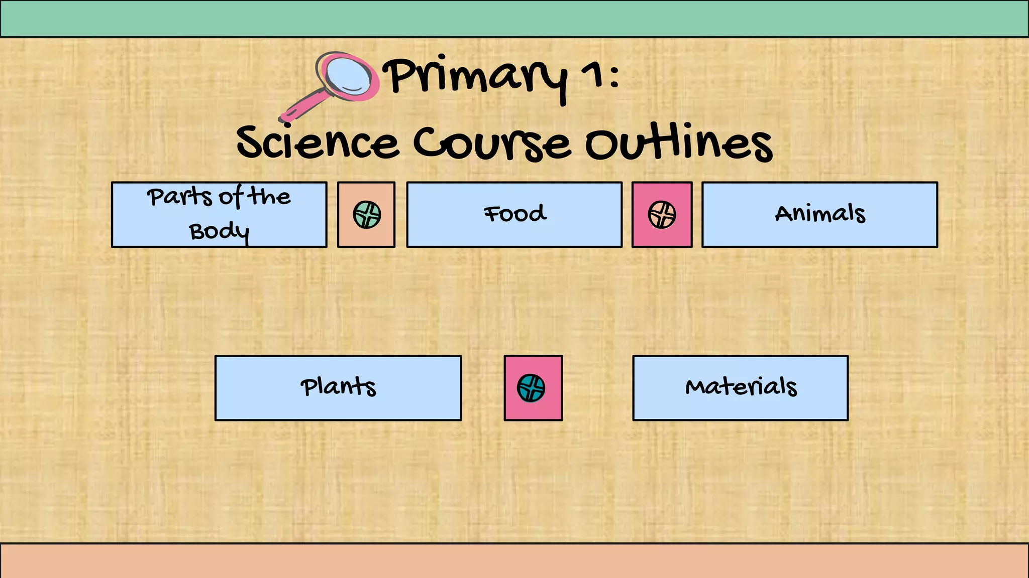 Primary 1:
Science Course Outlines
Parts of the
Body
Food Animals
Plants Materials
 