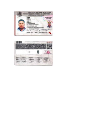 Curriculum fidel lopez