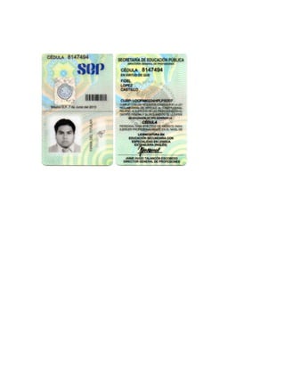 Curriculum fidel lopez