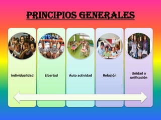 Principios generales
Individualidad Libertad Auto actividad Relación
Unidad o
unificación
 