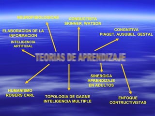 TEORIAS DE APRENDIZAJE CONDUCTISTA SKINNER, WATSON CONGNITIVA PIAGET, AUSUBEL, GESTAL SINERGICA APRENDIZAJE EN ADULTOS TOPOLOGIA DE GAGNE INTELIGENCIA MULTIPLE HUMANISMO ROGERS CARL NEUROFISIOLOGICAS ELABORACION DE LA INFORMACION INTELIGENCIA ARTIFICIAL ENFOQUE CONTRUCTIVISTAS 