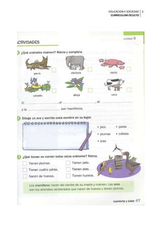 EDUCACION Y SOCIEDAD 3
 CURRICULUM OCULTO
 