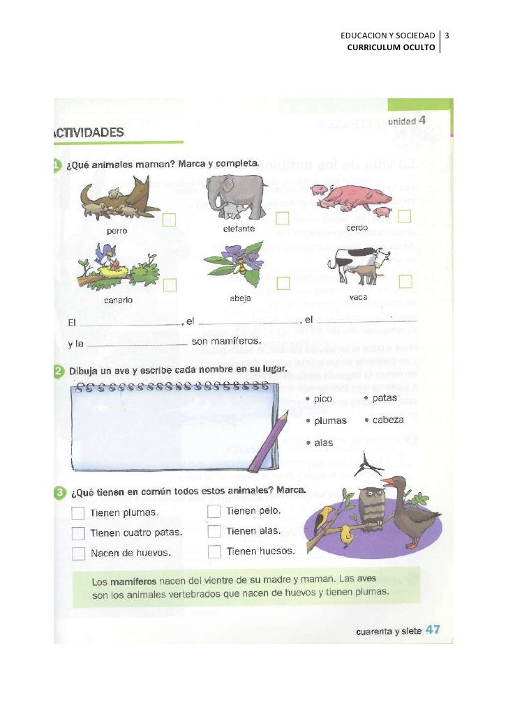 How to make a good resume picture