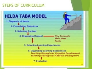 STEPS OF CURRICULUM
 