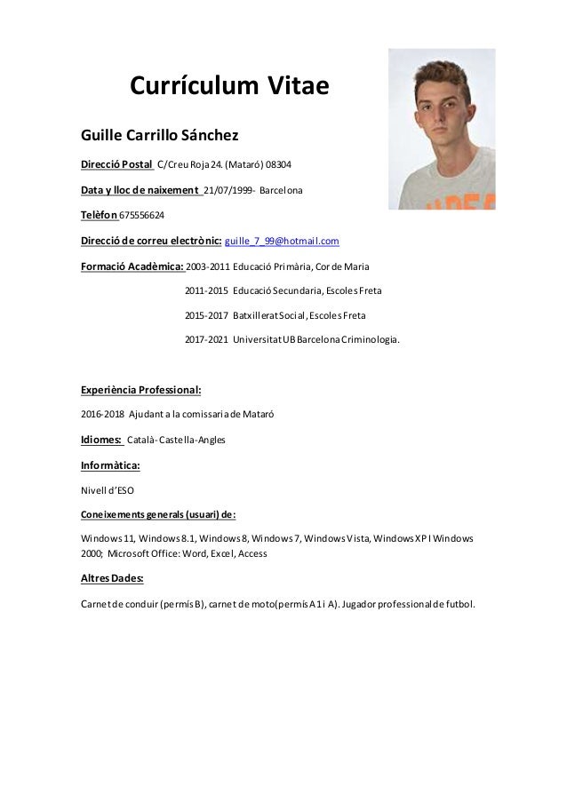 plantillas para cv