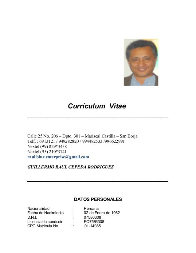 curriculum raul cepeda contador administrador 2012 39 ifs curriculum vitaee