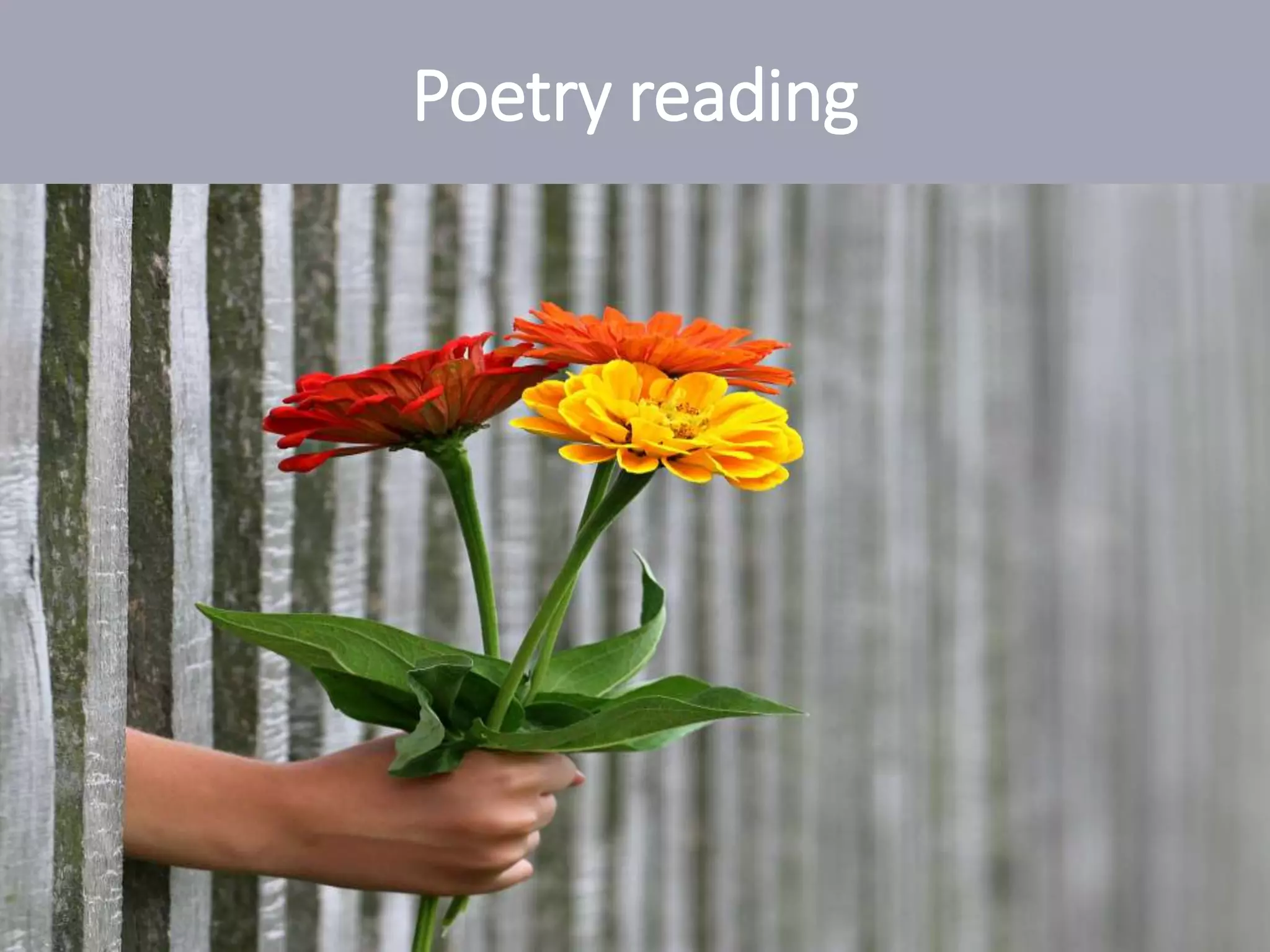 Poetry reading
 