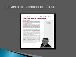 Curriculum vitae