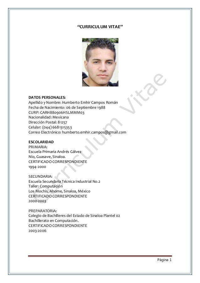 curriculam vitale curriculam vitale