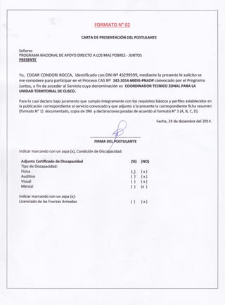 Curriculum vitae