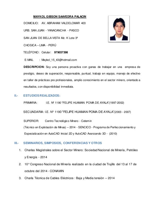Curriculum vitae