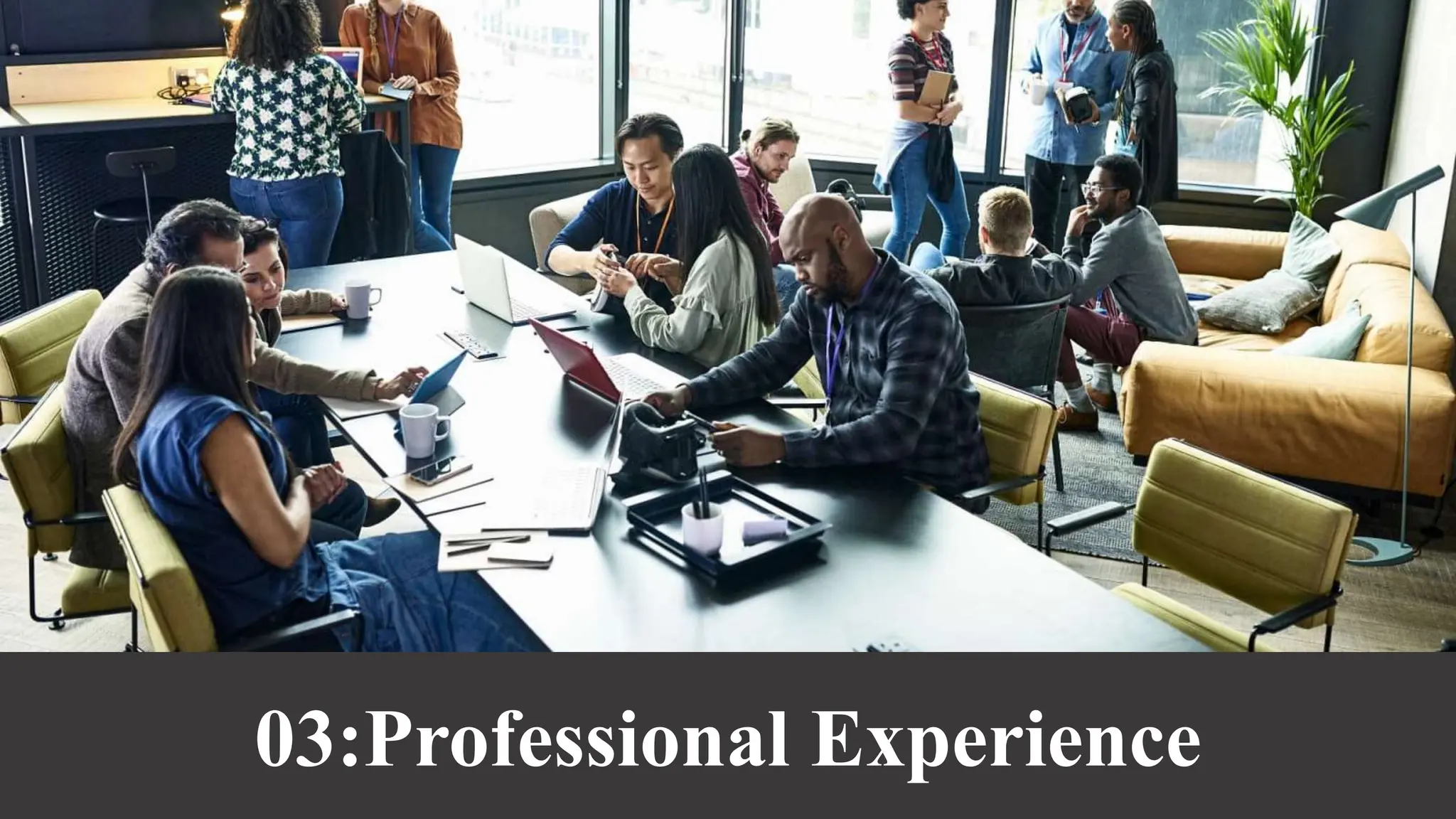 Format of a CV
03:Professional Experience
 