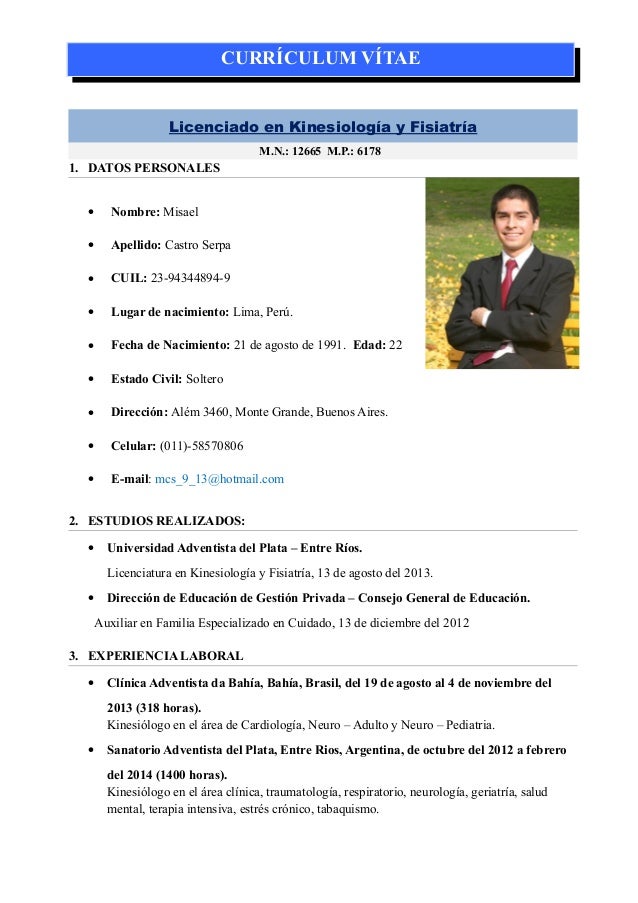 Curriculum vitae template picture