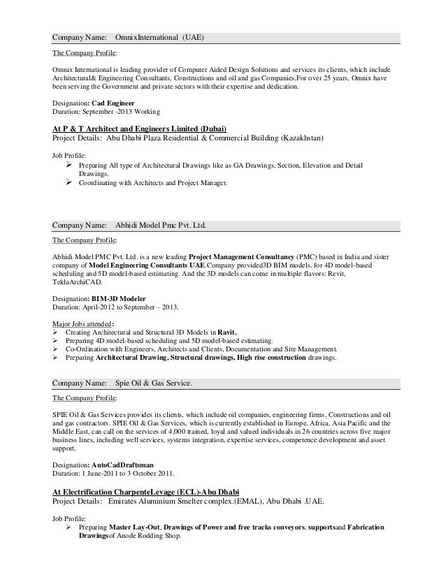 curriculum vitae model
