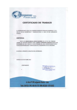 Curriculum vitae carlos ichpas (1) (1)