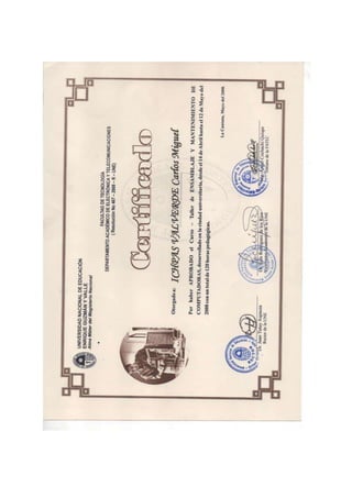 Curriculum vitae carlos ichpas (1) (1)