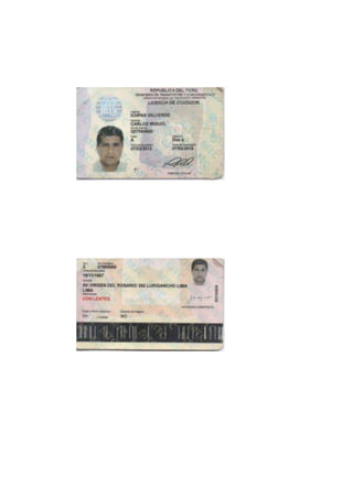 Curriculum vitae carlos ichpas (1) (1)