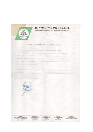 Curriculum vitae carlos ichpas (1) (1)