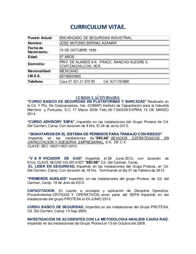 Curriculum Vitae El Bernal