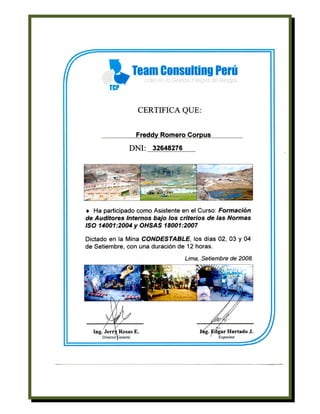 Curriculum Vitae de Freddy Romero Corpus