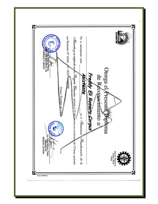 Curriculum Vitae de Freddy Romero Corpus