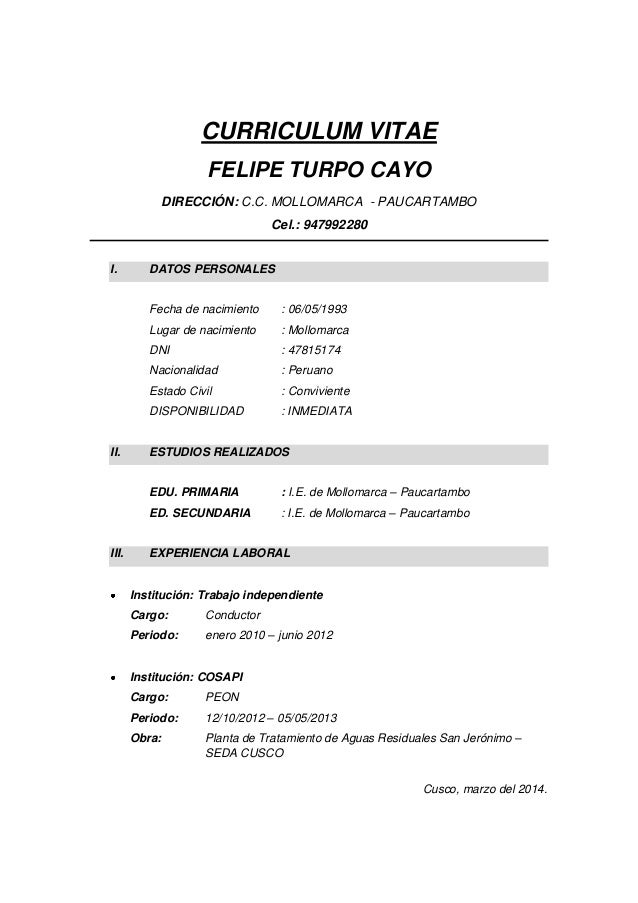 curriculum vita envio87 1 638