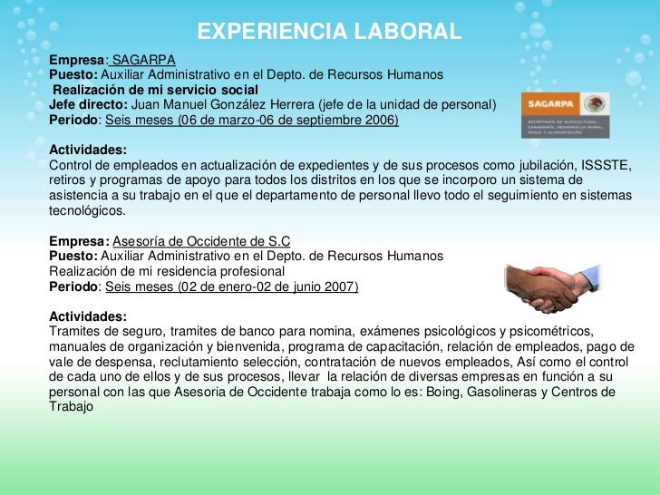 Resume summary examples image