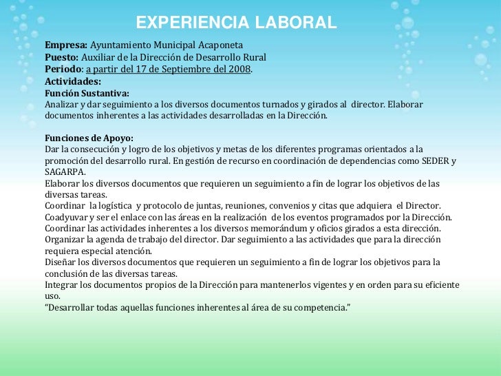 Curriculum vitae sagarpa 08 image