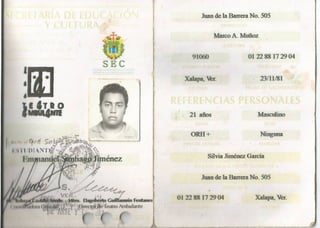 Curriculum artistico