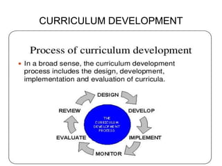 CURRICULUM | PPTX