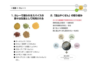 富山カレーフェスタ企画案
