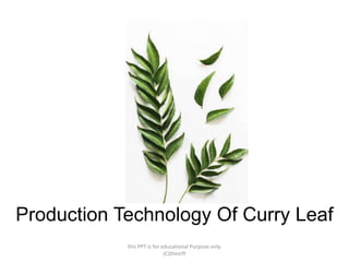 Production Technology Of Curry Leaf
this PPT is for educational Purpose only.
(C)thesrft
 