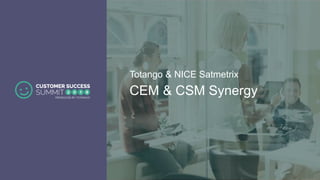CEM & CSM Synergy
Totango & NICE Satmetrix
 