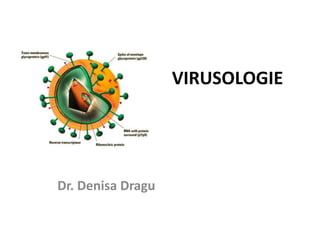 VIRUSOLOGIE
Dr. Denisa Dragu
 