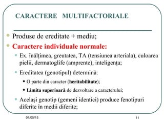 01/05/15 11
CARACTERE MULTIFACTORIALE
 Produse de ereditate + mediu;
 Caractere individuale normale:
• Ex. înălţimea, greutatea, TA (tensiunea arteriala), culoarea
pielii, dermatoglife (amprente), inteligenţa;
• Ereditatea (genotipul) determină:
• O parte din caracter (heritabilitateheritabilitate);
• Limita superioarLimita superioarăă de dezvoltare a caracterului;
• Acelaşi genotip (gemeni identici) produce fenotipuri
diferite în medii diferite;
 