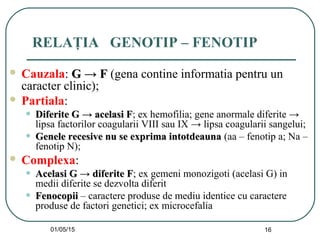 01/05/15 16
RELAŢIA GENOTIP – FENOTIP
 Cauzala: G → FG → F (gena contine informatia pentru un
caracter clinic);
 Partiala:
• Diferite G → acelasi FDiferite G → acelasi F; ex hemofilia; gene anormale diferite →
lipsa factorilor coagularii VIII sau IX → lipsa coagularii sangelui;
• Genele recesive nu se exprima intotdeaunaGenele recesive nu se exprima intotdeauna (aa – fenotip a; Na –
fenotip N);
 Complexa:
• Acelasi G → diferite FAcelasi G → diferite F; ex gemeni monozigoti (acelasi G) in
medii diferite se dezvolta diferit
• FenocopiiFenocopii – caractere produse de mediu identice cu caractere
produse de factori genetici; ex microcefalia
 