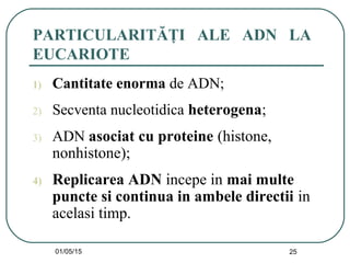 01/05/15 25
PARTICULARITĂŢI ALE ADN LA
EUCARIOTE
1) Cantitate enorma de ADN;
2) Secventa nucleotidica heterogena;
3) ADN asociat cu proteine (histone,
nonhistone);
4) Replicarea ADN incepe in mai multe
puncte si continua in ambele directii in
acelasi timp.
 