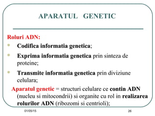 01/05/15 26
APARATUL GENETIC
Roluri ADN:
 Codifica informatia geneticaCodifica informatia genetica;
 Exprima informatia geneticaExprima informatia genetica prin sinteza de
proteine;
 Transmite informatia geneticaTransmite informatia genetica prin diviziune
celulara;
Aparatul genetic = structuri celulare ce contin ADNcontin ADN
(nucleu si mitocondrii) si organite cu rol in realizarearealizarea
rolurilor ADNrolurilor ADN (ribozomi si centrioli);
 