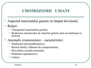 01/05/15 41
CROMOZOMII UMANI
 Aspectul materialului genetic in timpul diviziunii;
 Roluri:
• Transportul materialului genetic;
• Realizarea amestecului de material genetic prin recombinare in
meioza;
 Anomalii cromozomice – caracteristici:
• Sindroame plurimalformative;
• Retard mintal, tulburari de comportament;
• Dezvoltare sexuala anormala;
• Probleme reproductive;
• Cancer.
 